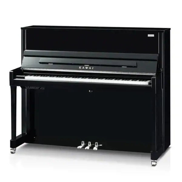 K-300 Aures