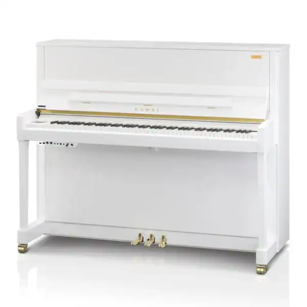 K-300 Aures