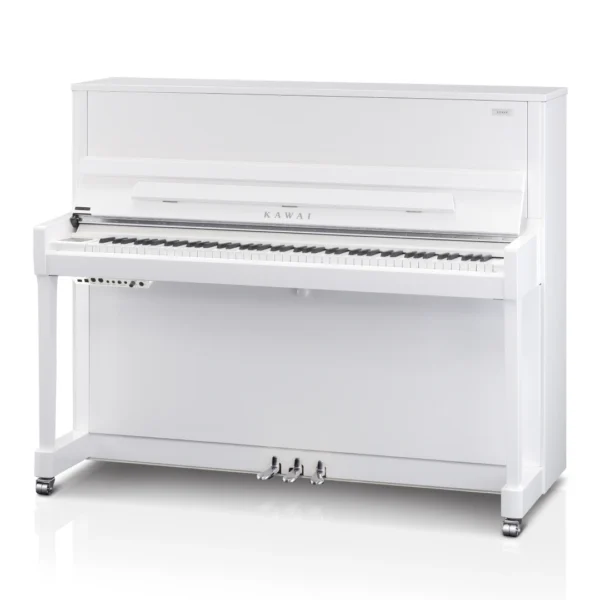 K-300 Aures