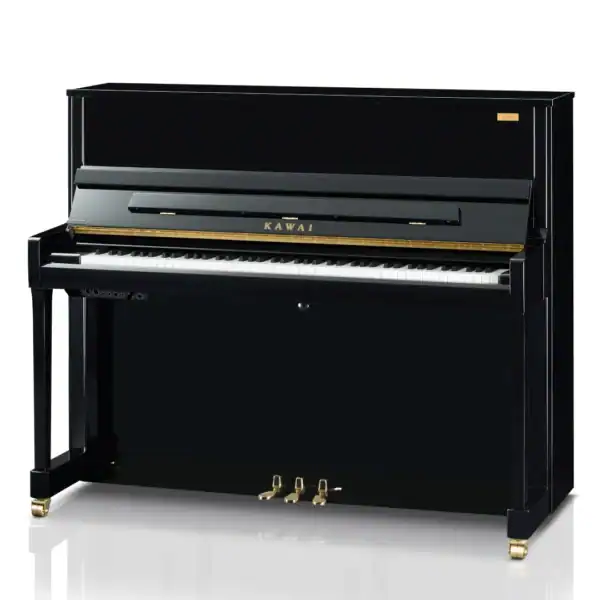 K-300 Aures