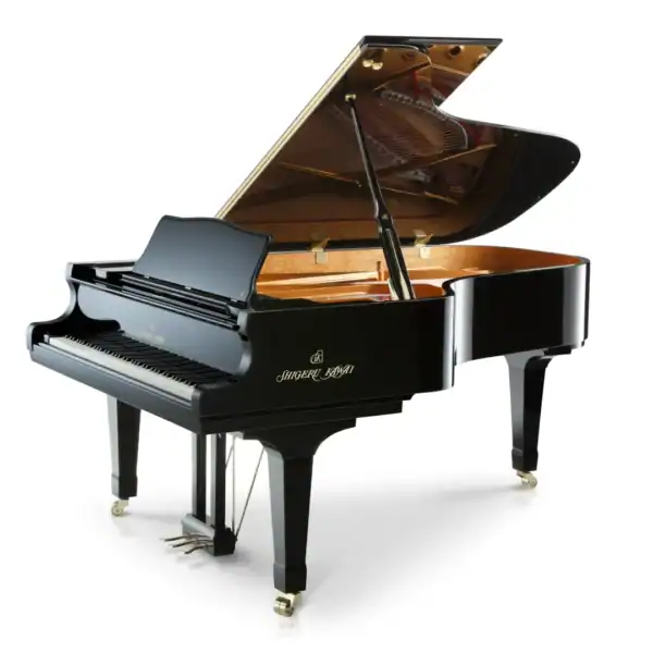SK-6