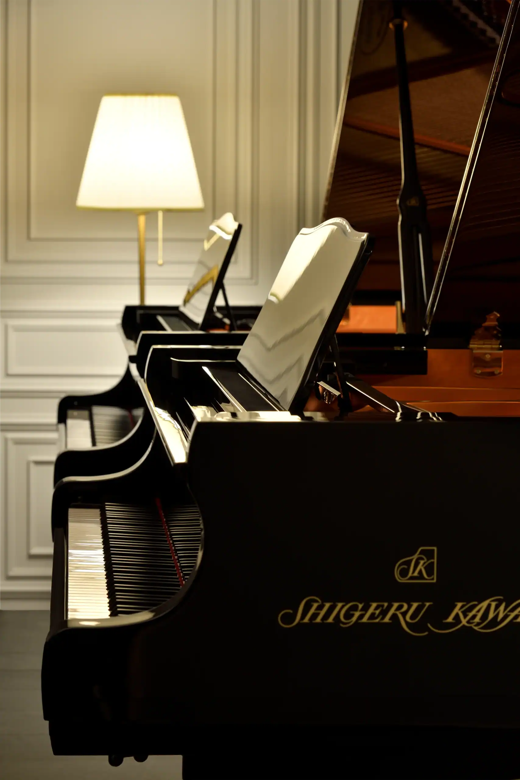 Kawai Acoustic piano SK EX D2